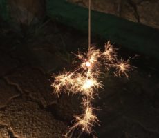 img_1235.jpg